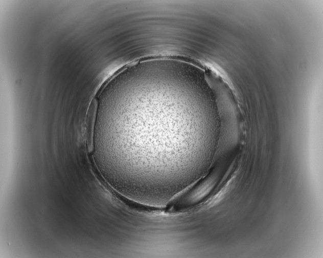 X0000086981081200704301313