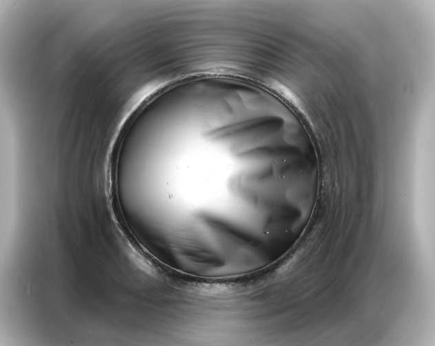 X0000086981082200704301313