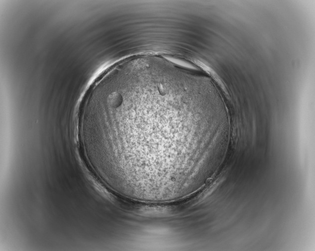 X0000086981083200704301313