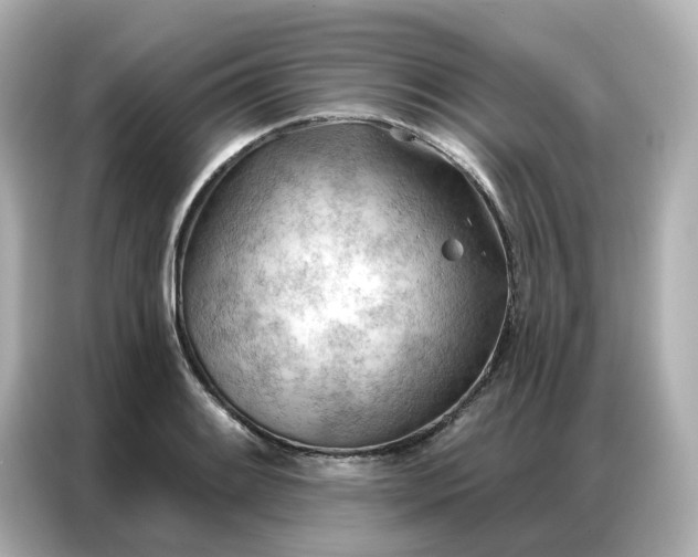 X0000086981084200704301313