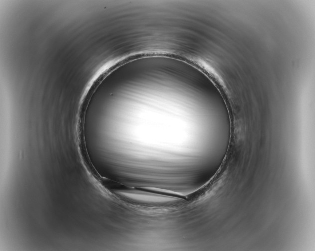 X0000086981085200704301313