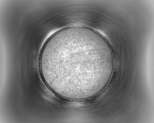 X0000086981086200704301313