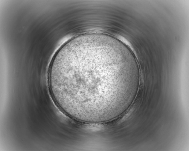 X0000086981090200704301313