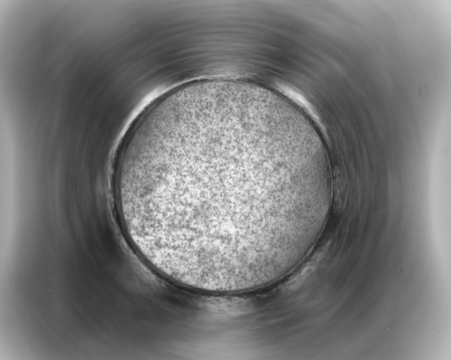 X0000086981091200704301313