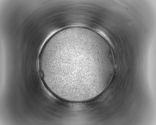 X0000086981092200704301313