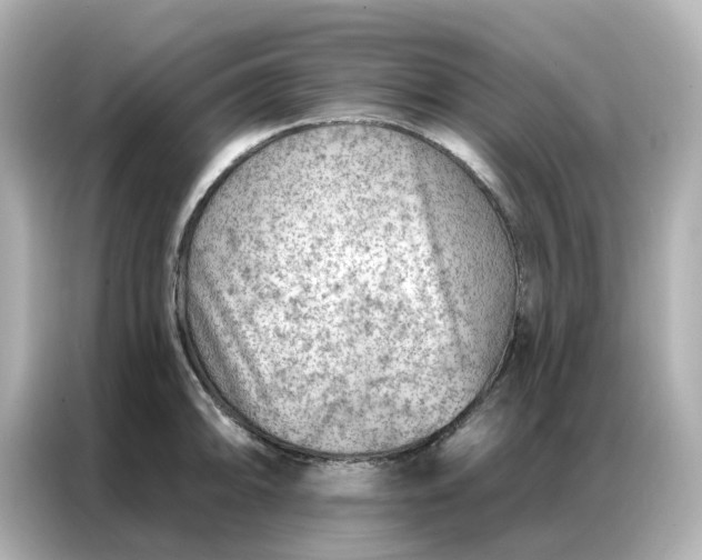 X0000086981094200704301313