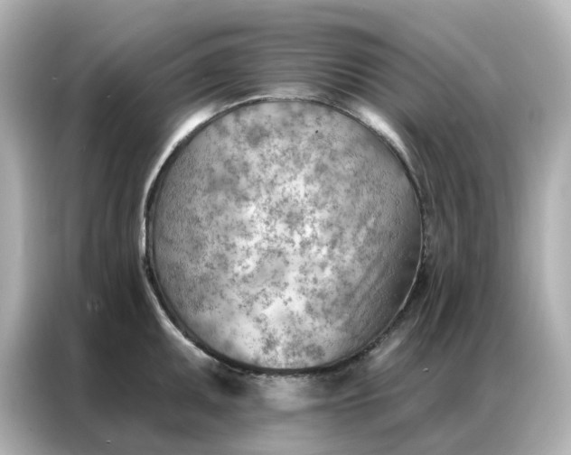 X0000086981095200704301313