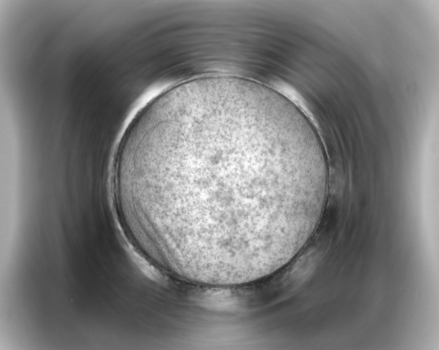 X0000086981098200704301312