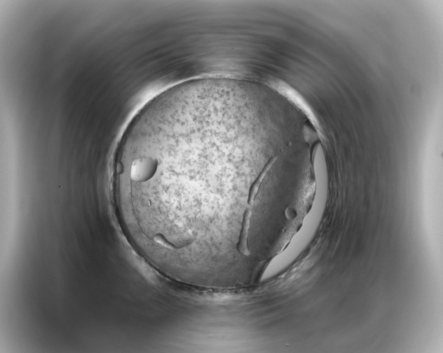 X0000086981099200704301312