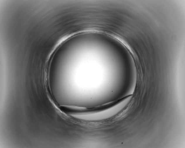 X0000086981101200704301312