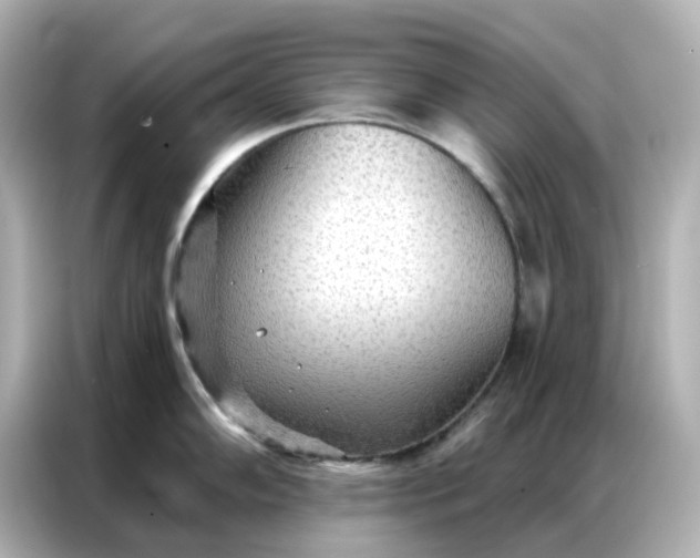 X0000086981102200704301312