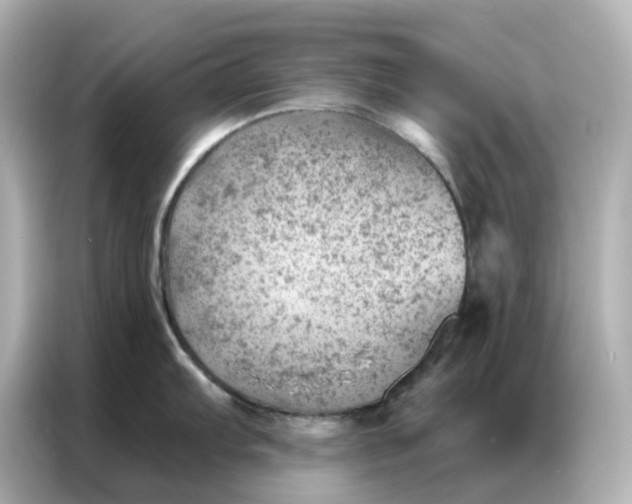 X0000086981103200704301312