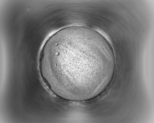 X0000086981104200704301312