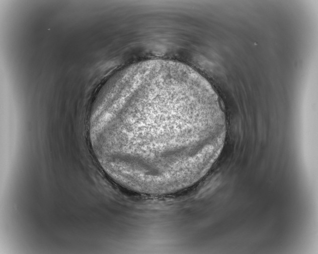 X0000086981105200704301312