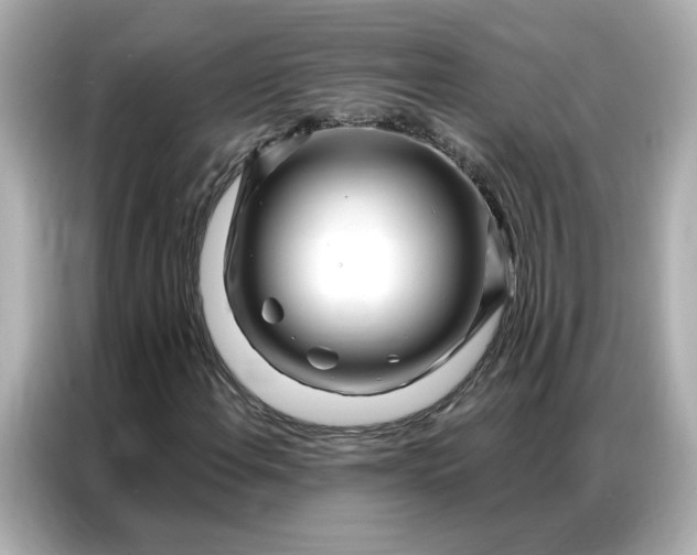 X0000086981108200704301312