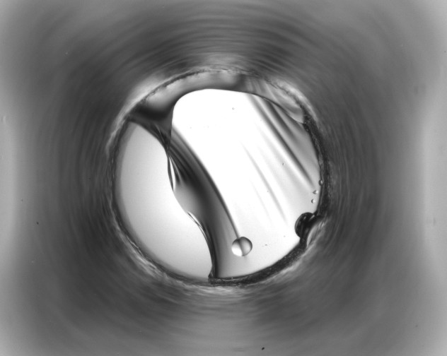 X0000086981114200704301312