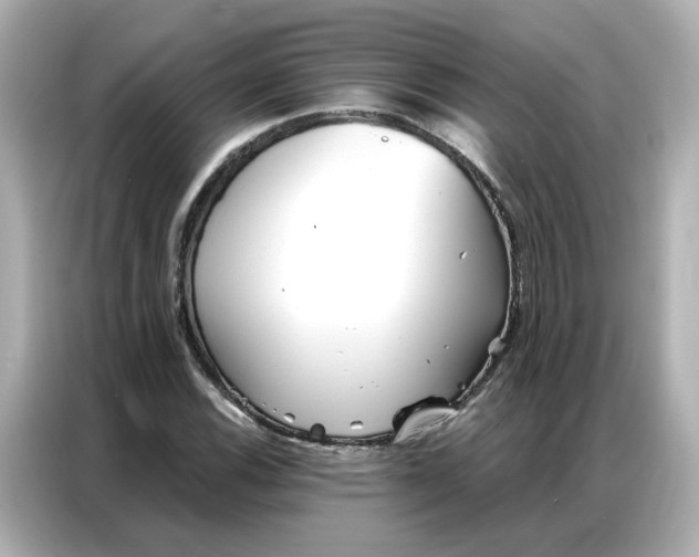 X0000086981116200704301312