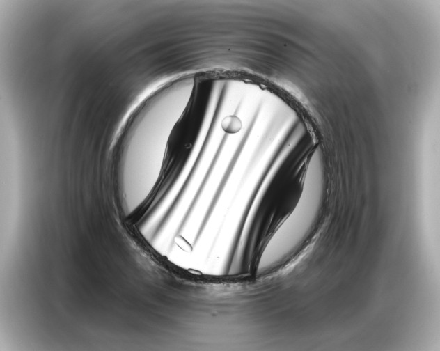 X0000086981118200704301312