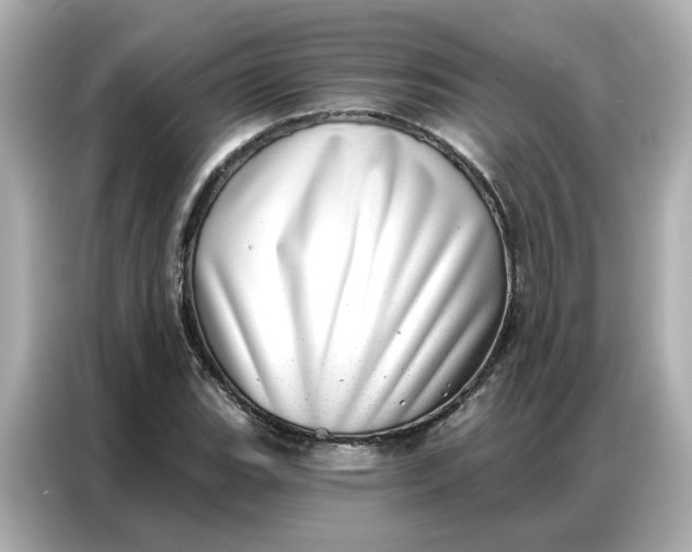 X0000086981119200704301312