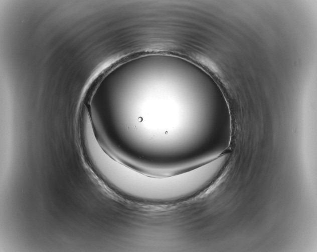 X0000086981122200704301312