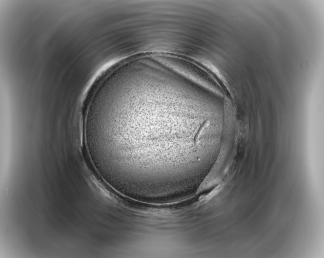 X0000086981123200704301312