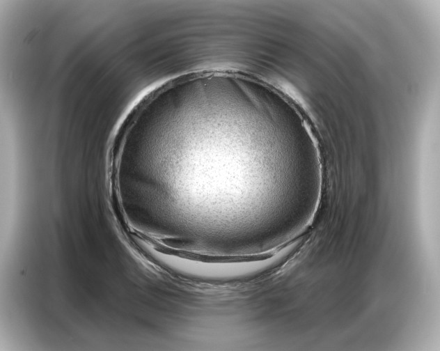 X0000086981124200704301312