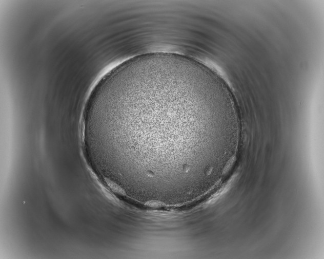 X0000086981125200704301312