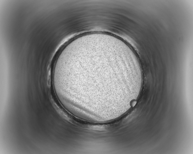 X0000086981126200704301312