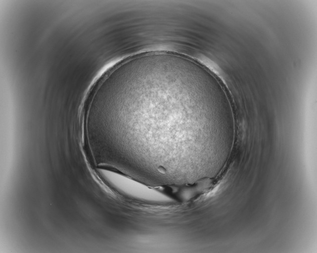 X0000086981127200704301312