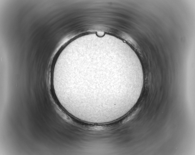 X0000086981130200704301312