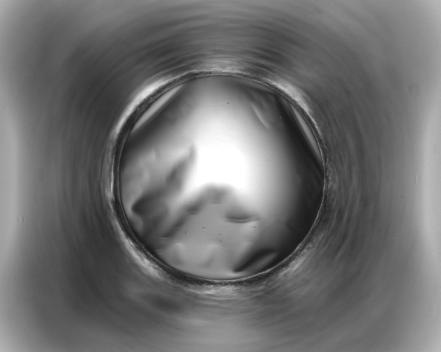 X0000086981131200704301312