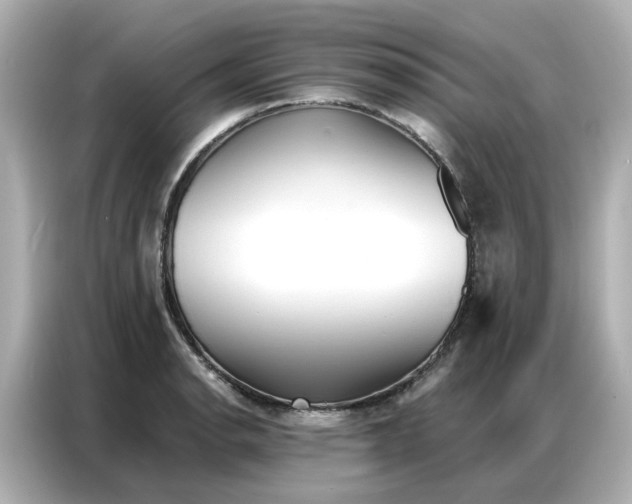 X0000086981134200704301312