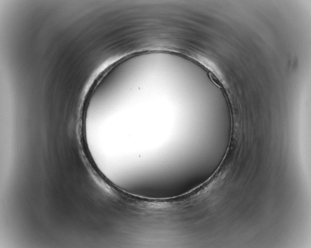 X0000086981136200704301312