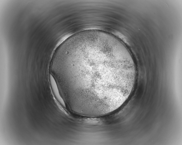 X0000086981137200704301312