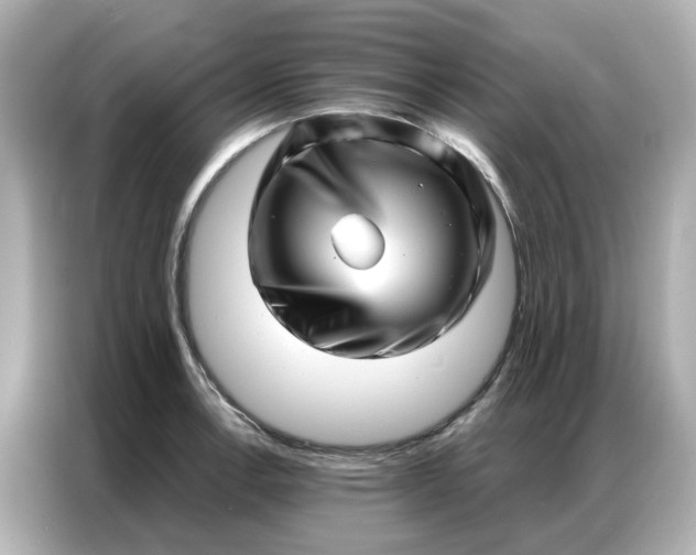 X0000086981138200704301312