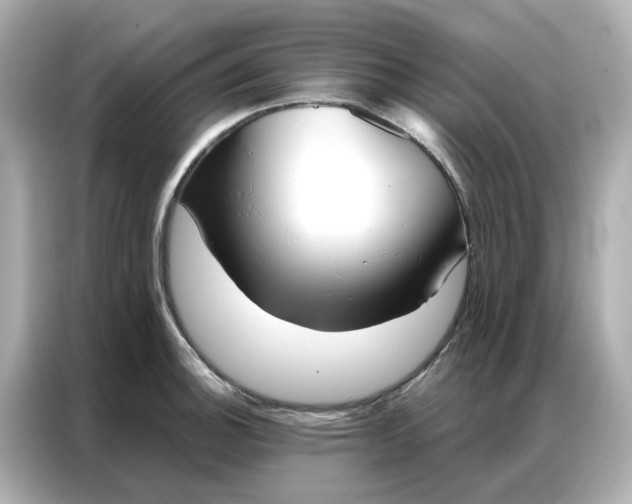 X0000086981140200704301312