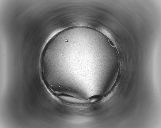 X0000086981141200704301312