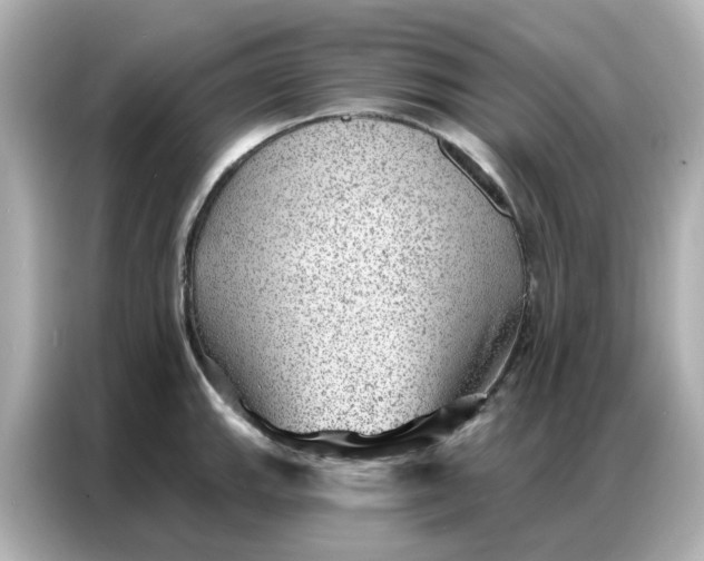 X0000086981143200704301312