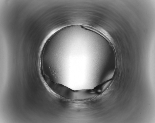 X0000086981144200704301312