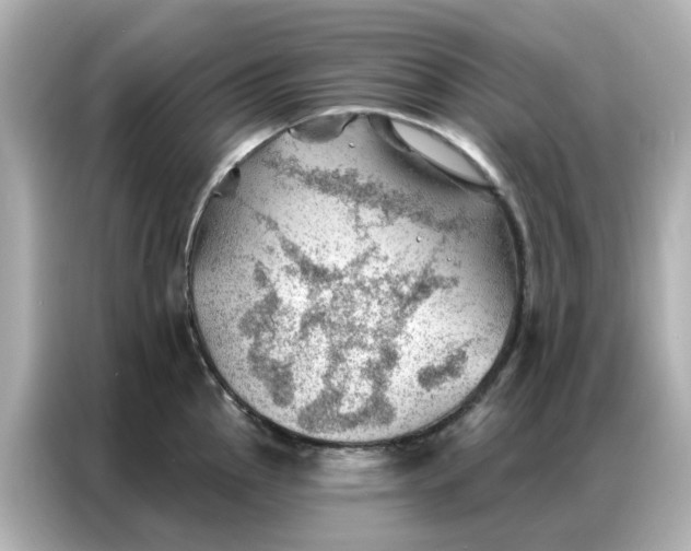 X0000086981145200704301312