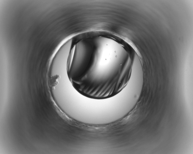 X0000086981148200704301312