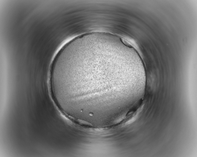 X0000086981149200704301312