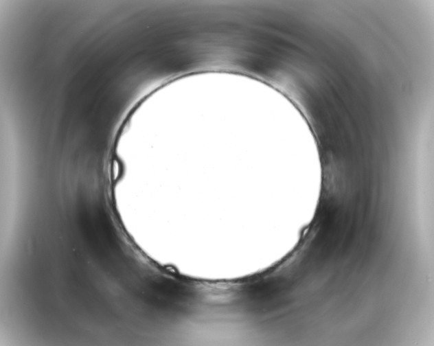 X0000086981150200704301312