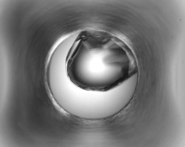 X0000086981152200704301312