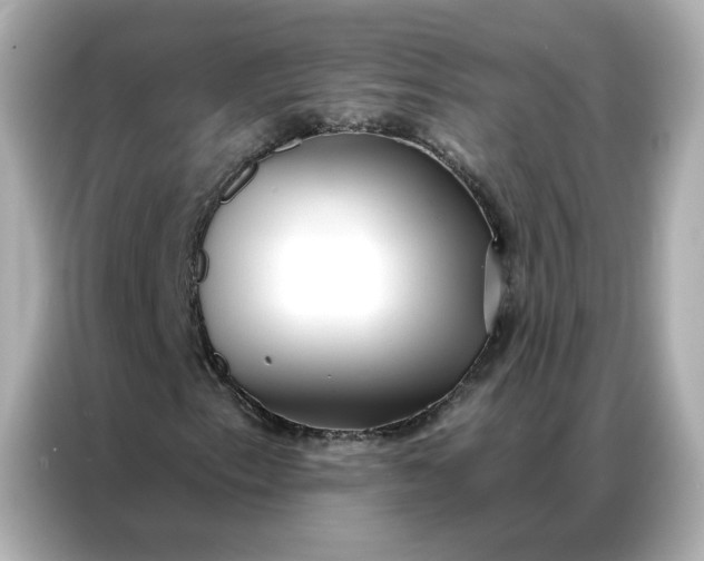 X0000086981153200704301312