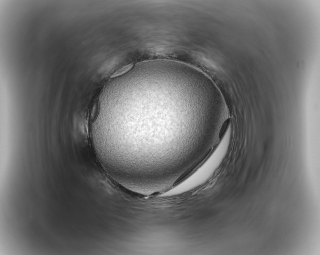 X0000086981155200704301312