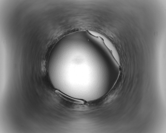 X0000086981156200704301312