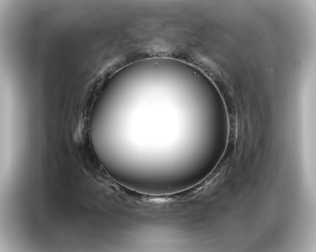 X0000086981157200704301312