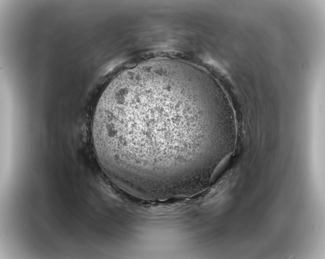 X0000086981159200704301312