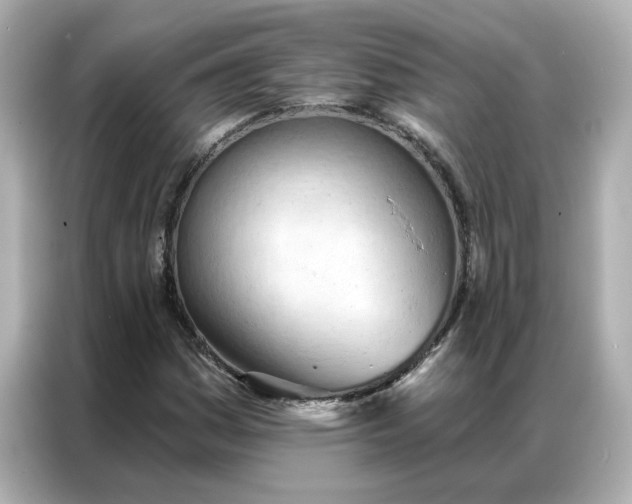 X0000086981161200704301312